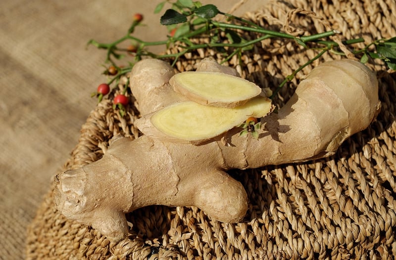 Mandrake